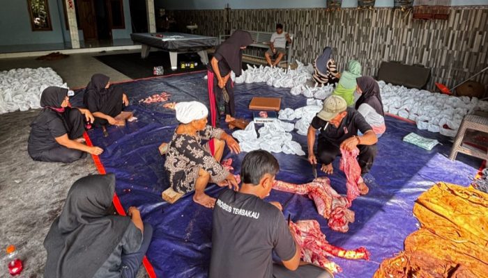 Wujud Syukur  & Teladani Nabi Ibrahim AS, Bos Djava Kurban 12 Ekor Sapi