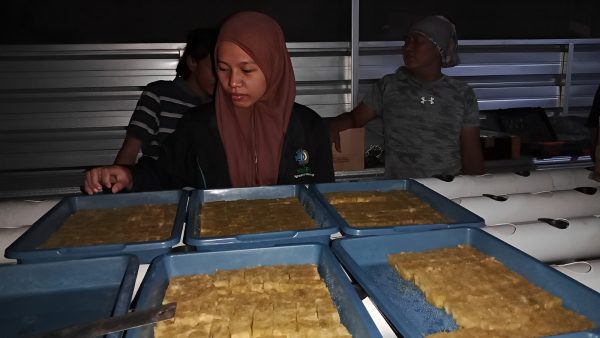 Pemanfaatan Kembali Hidroponik Desa Oleh Mahasiswa KKNT-14 Universitas Trunojoyo Madura