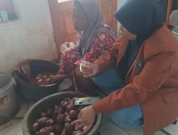 Pelaksanaan Kegiatan Kuliah Kerja Nyata Universitas PGRI Kanjuruhan Malang 2022/2023 di Desa Ranuklindungan, Kecamatan Grati, Pasuruan