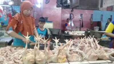 Sehari Jelang Idul Adha, Harga Ayam Kampung dan Ayam Potong Drastis Naik