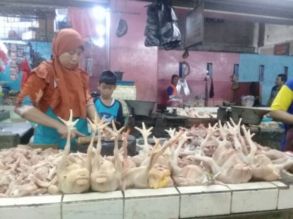 Sehari Jelang Idul Adha, Harga Ayam Kampung dan Ayam Potong Drastis Naik