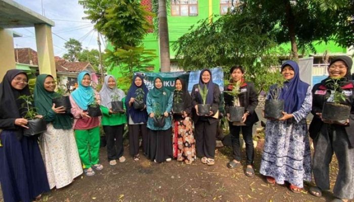 Kegiatan Penanaman Bibit Tanaman Tomat, Terong dan Cabai guna Memanfaatkan Lahan Bersama Ibu PKK di Kauman Purwosari Pasuruan